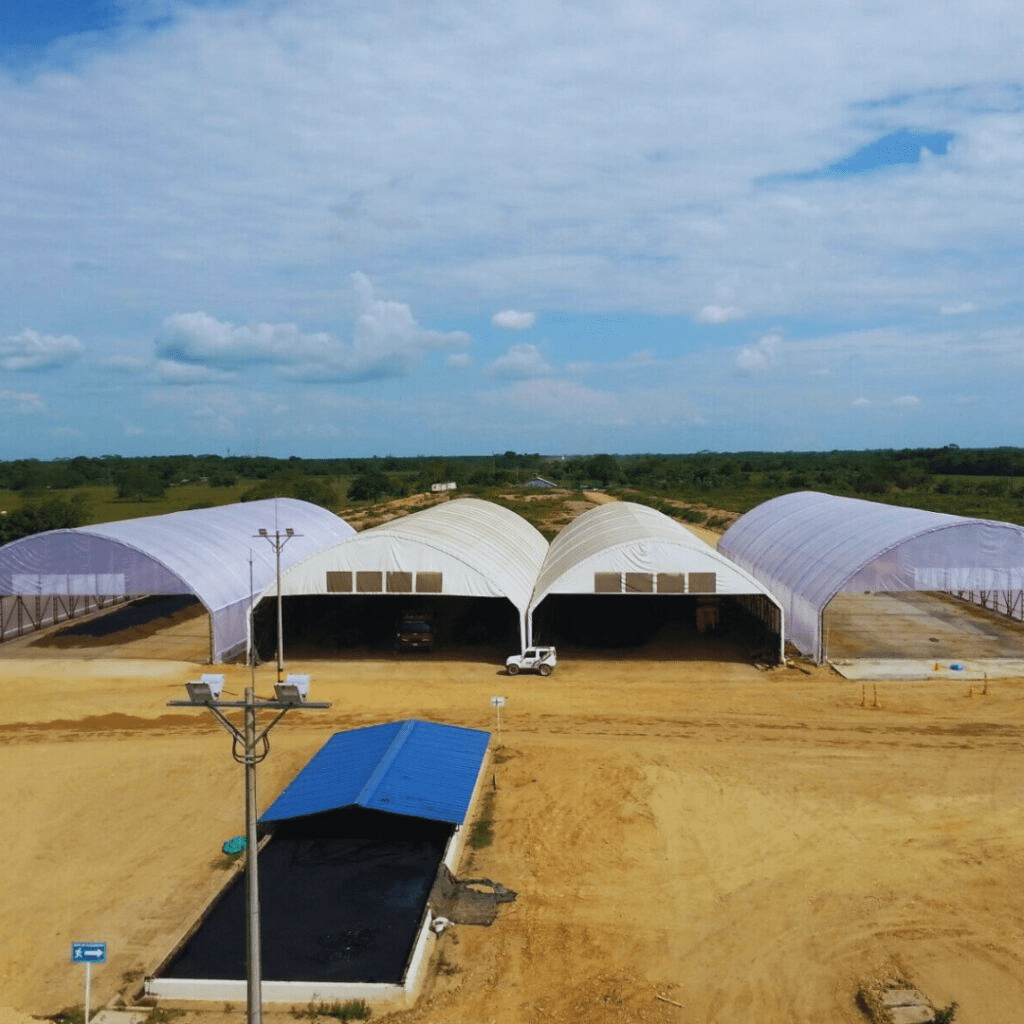 imgi_52_15-1024x1024